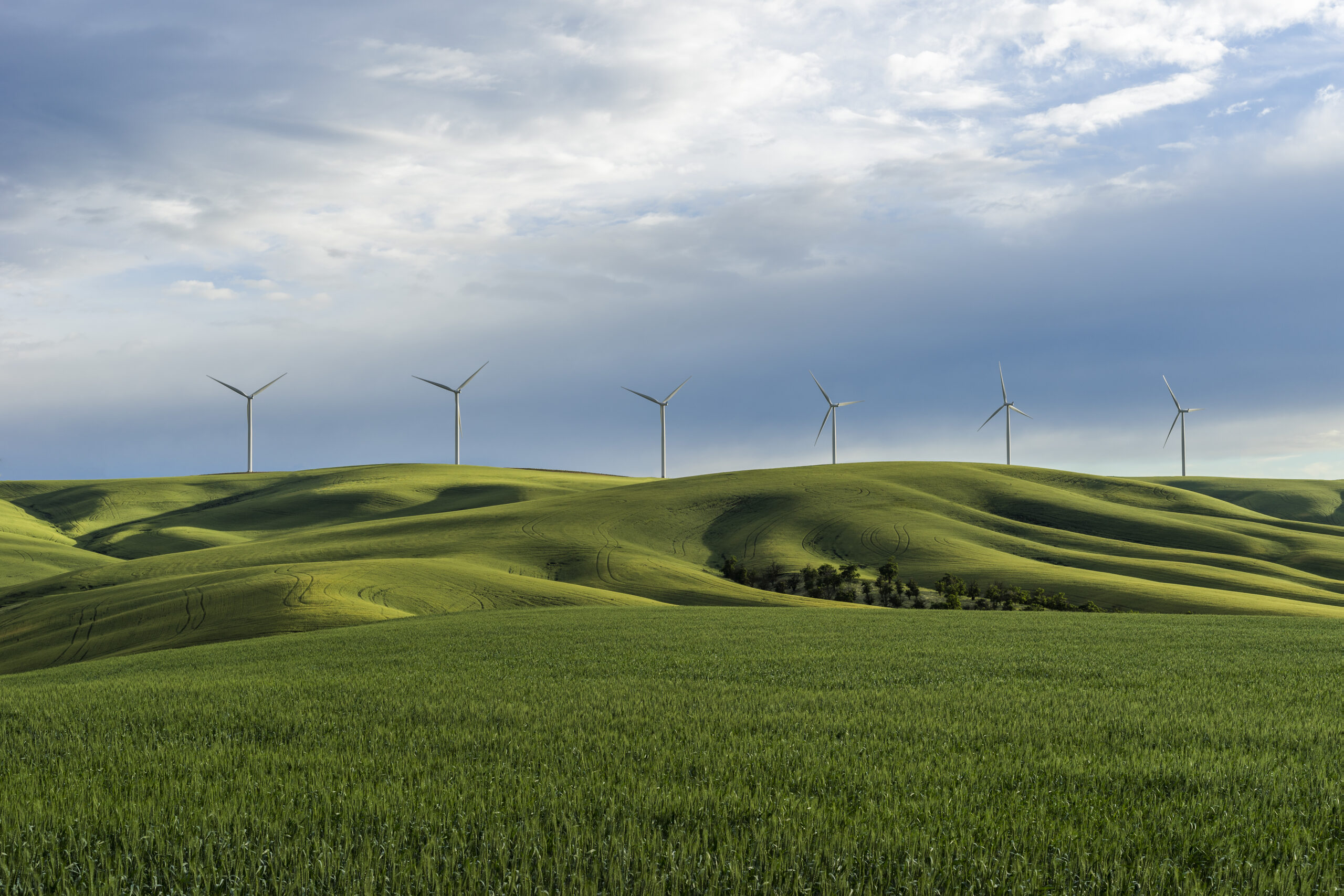 Palouse hills in the summer with windmills. 